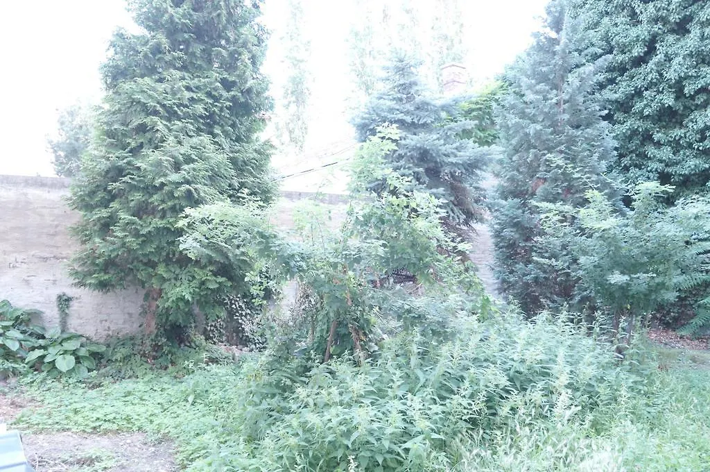 维也纳公寓 0*, 维也纳