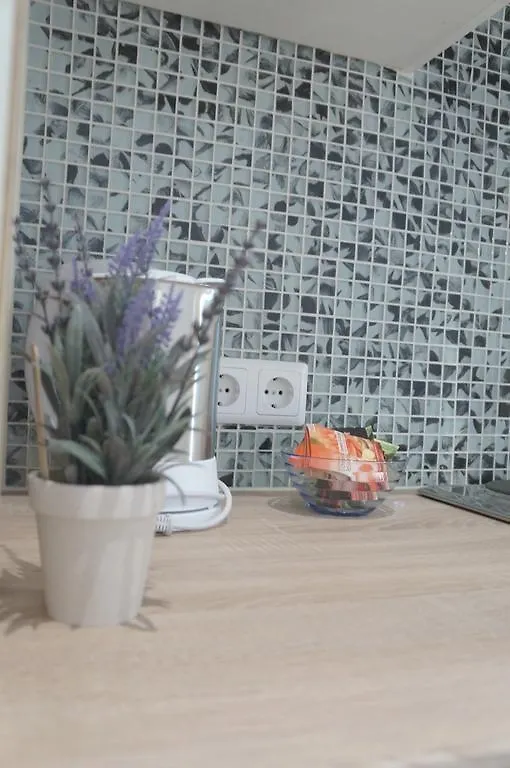 Apartment Viena