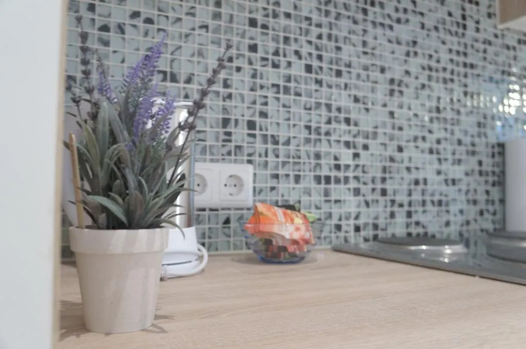 Apartment Viena